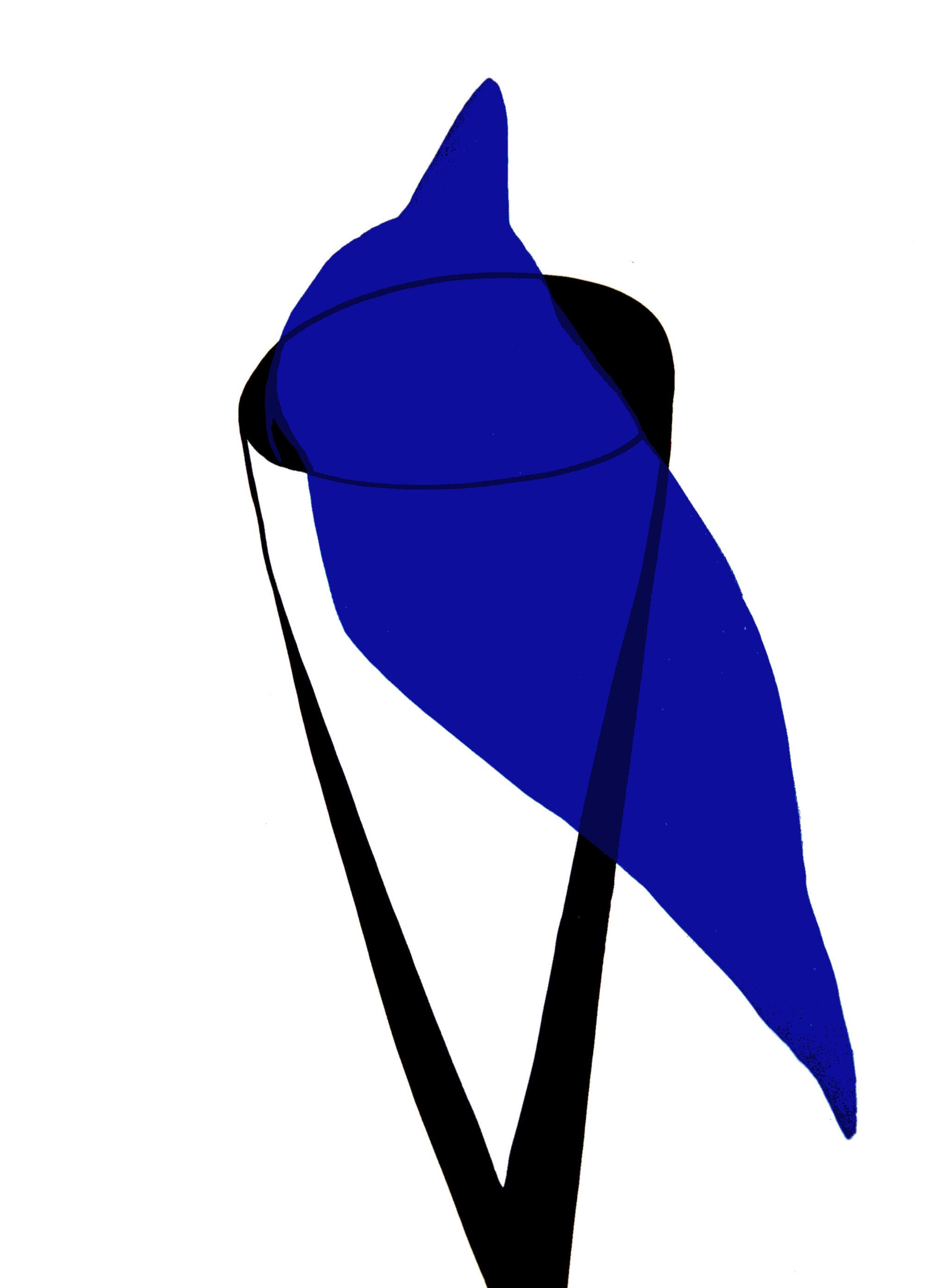 Winter Cone, Siebdruck.